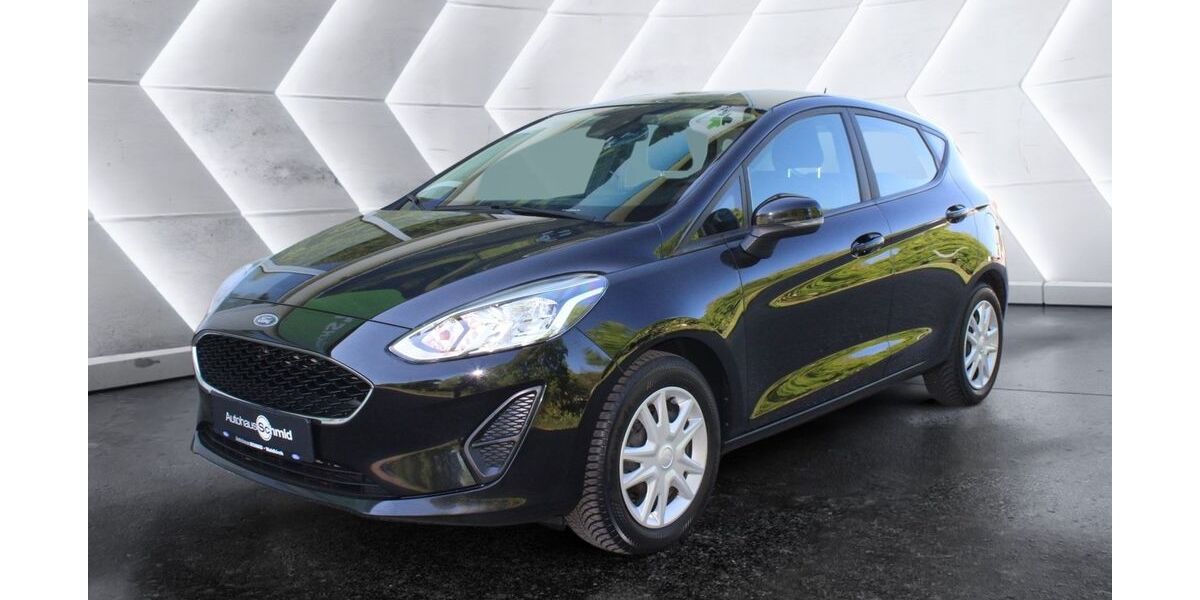 Ford Fiesta 90.500 km 10.900 &euro; Waldkirch 79183