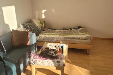 Wohnung Freiburg im Breisgau Betzenhausen - 1 Zimmer, 25 m&sup2;, 625&euro; | Angebot:26396749