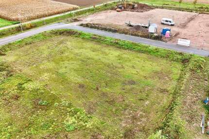 Grundstück Ettenheim - 199.000&euro; | Angebot:24067805