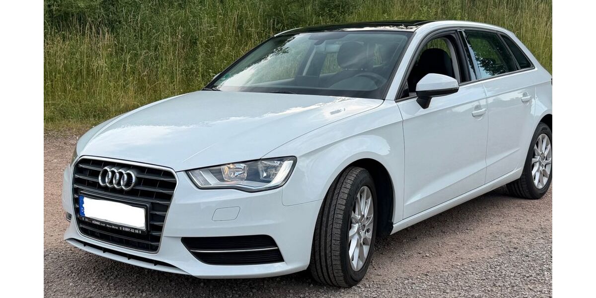 Audi A3 171.000 km 10.950 &euro; Titisee-Neustadt 79822