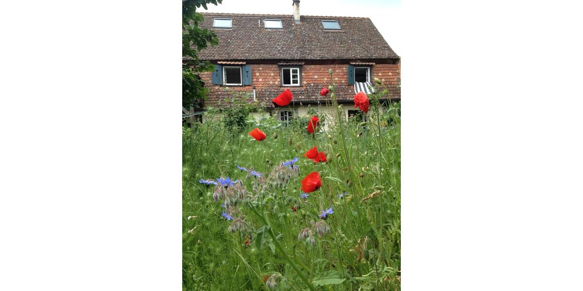 Etagenwohnung Breisach am Rhein - 5 Zimmer, 70 m&sup2;, 950&euro; | Angebot:25219336