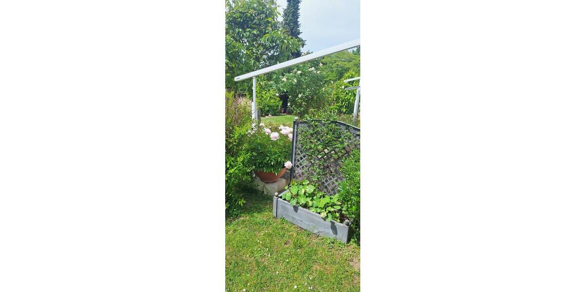 Einfamilienhaus Bad Krozingen - 8 Zimmer, 220 m&sup2;, 1.500.000&euro; | Angebot:26652449