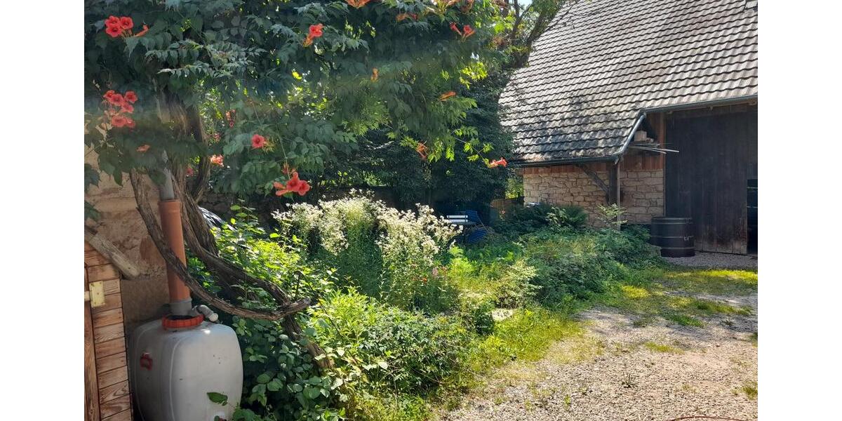 Einfamilienhaus Schallstadt - 680.000&euro; | Angebot:25865449