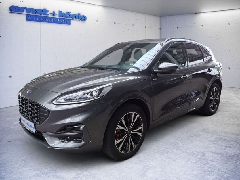 Kuga