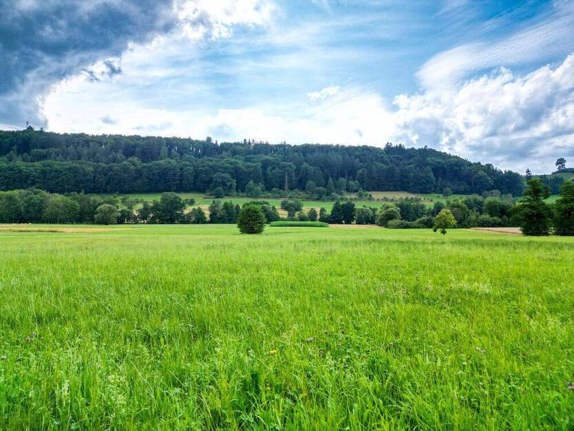 BIETERVERFAHREN: Idyllisch gelegenes Baugrundstück mit Wiesengrundstücken