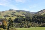 Mehrfamilienhaus, Wohnhaus Schönau im Schwarzwald - 13 Zimmer, 380 m&sup2;, 695.000&euro; | Angebot:27050158