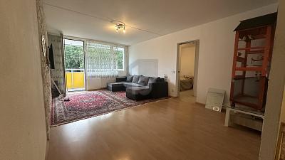 ZENTRAL IM SCHWARZWALD 3 zimmer