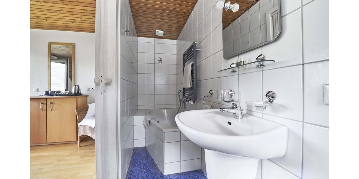 Gewerbeobjekt Simonswald - 2 Zimmer, 1.295.000&euro; | Angebot:19329835