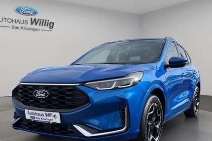 Ford Kuga 13.500 km 35.990 &euro; Bad Krozingen 79189