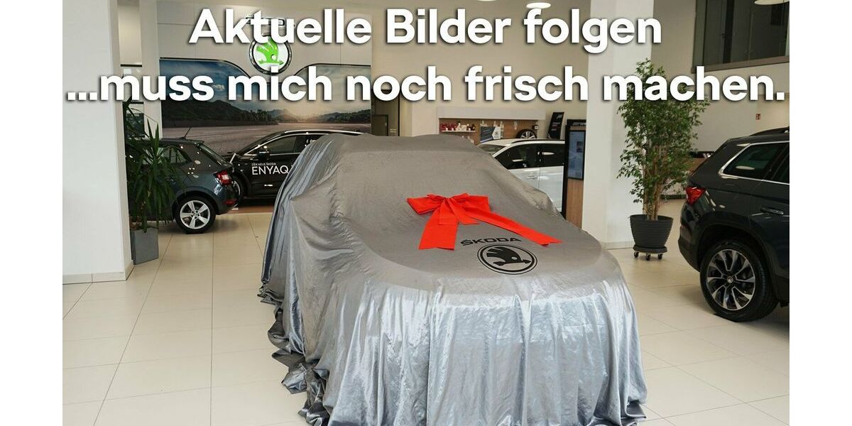 Skoda Fabia 13.600 km 22.890 &euro; Emmendingen 79312