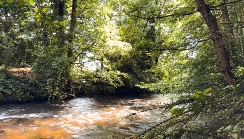 Einfamilienhaus Waldkirch - 1 Zimmer, 20 m&sup2;, 65.000&euro; | Angebot:26165020