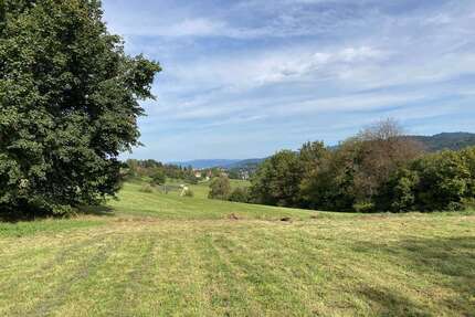 Grundstück Wittnau - 900.000&euro; | Angebot:22055864