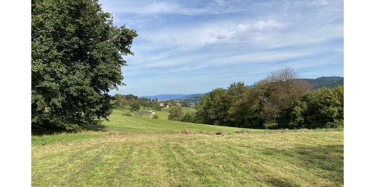 Grundstück Wittnau - 900.000&euro; | Angebot:22055864