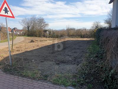 KAISERSTÜHLER IDYLLE TRIFFT FREIBURGER STADTNÄHE - Grundstück Ihringen | Angebot:27132748