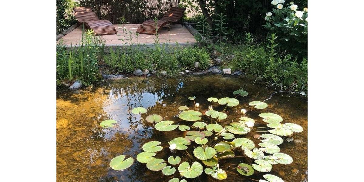 Etagenwohnung Breisach am Rhein - 5 Zimmer, 70 m&sup2;, 950&euro; | Angebot:25219336