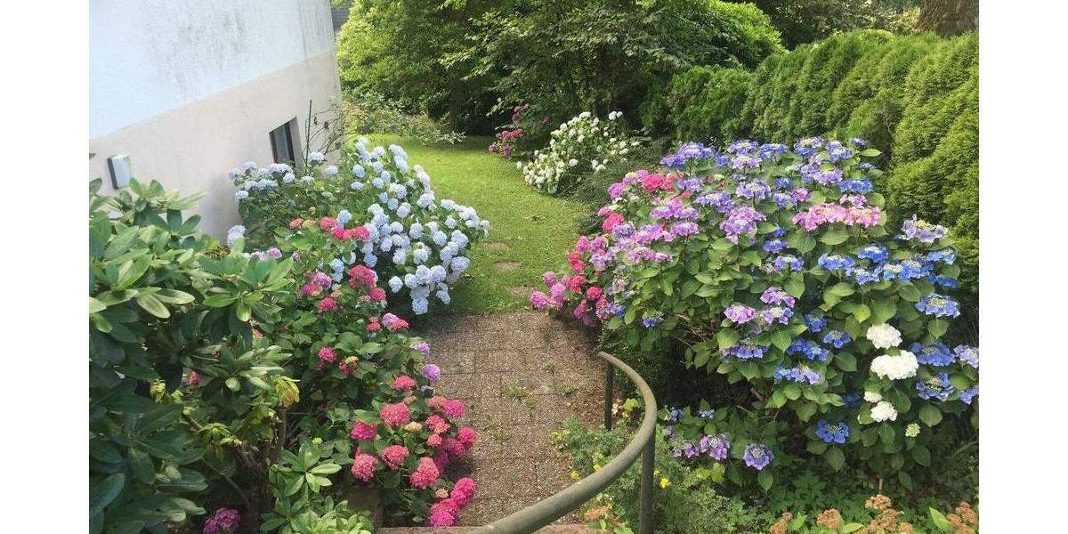 Mehrfamilienhaus, Wohnhaus Freiburg Günterstal - 1 Zimmer, 356 m&sup2;, 1.195.000&euro; | Angebot:25784556