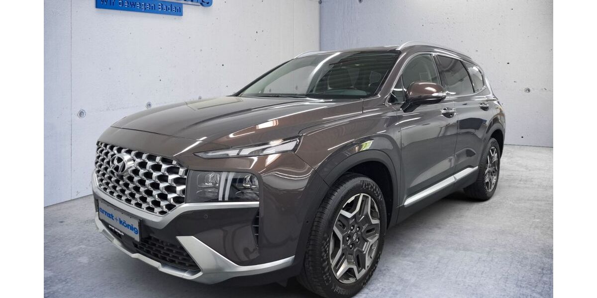 Hyundai SANTA FE 54.400 km 33.890 &euro; Herbolzheim 79336