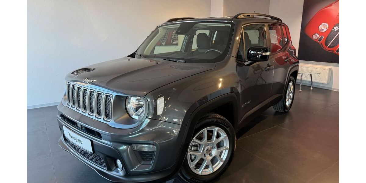 Jeep Renegade 19.800 km 21.700 &euro; Hartheim am Rhein 79258