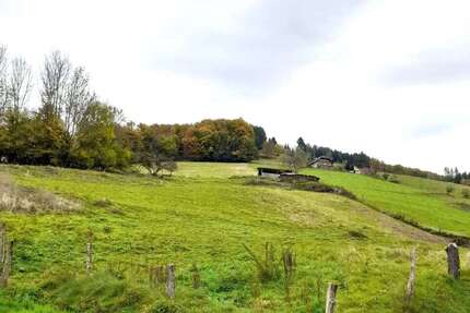 Grundstück zu verkaufen in Elzach Katzenmoos 950.000 € 3600 m² zimmer