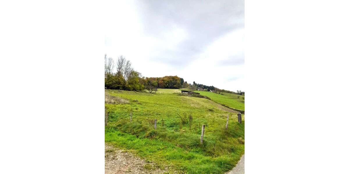 Grundstück zu verkaufen in Elzach Katzenmoos 950.000 € 3600 m² zimmer