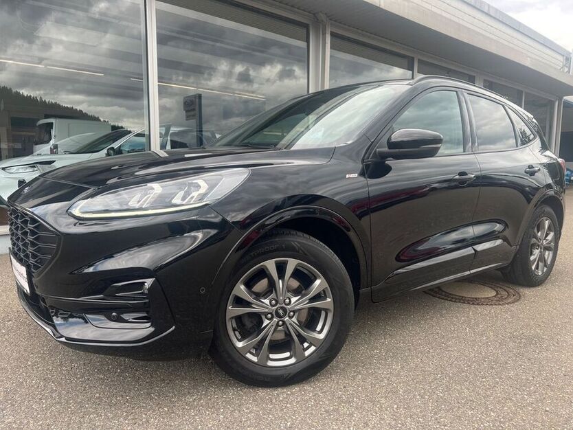 Kuga
