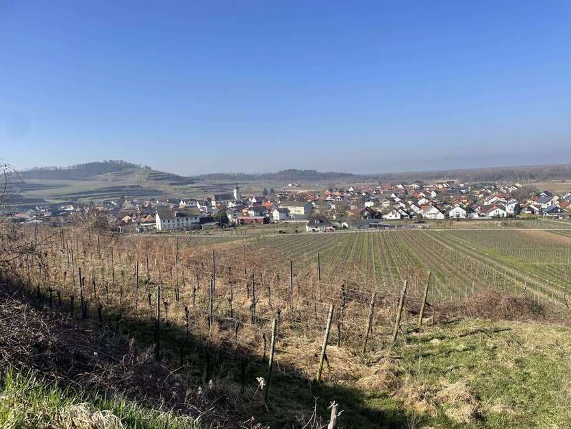 Grundstück zu verkaufen in Jechtingen 13.000 € 2881 m²