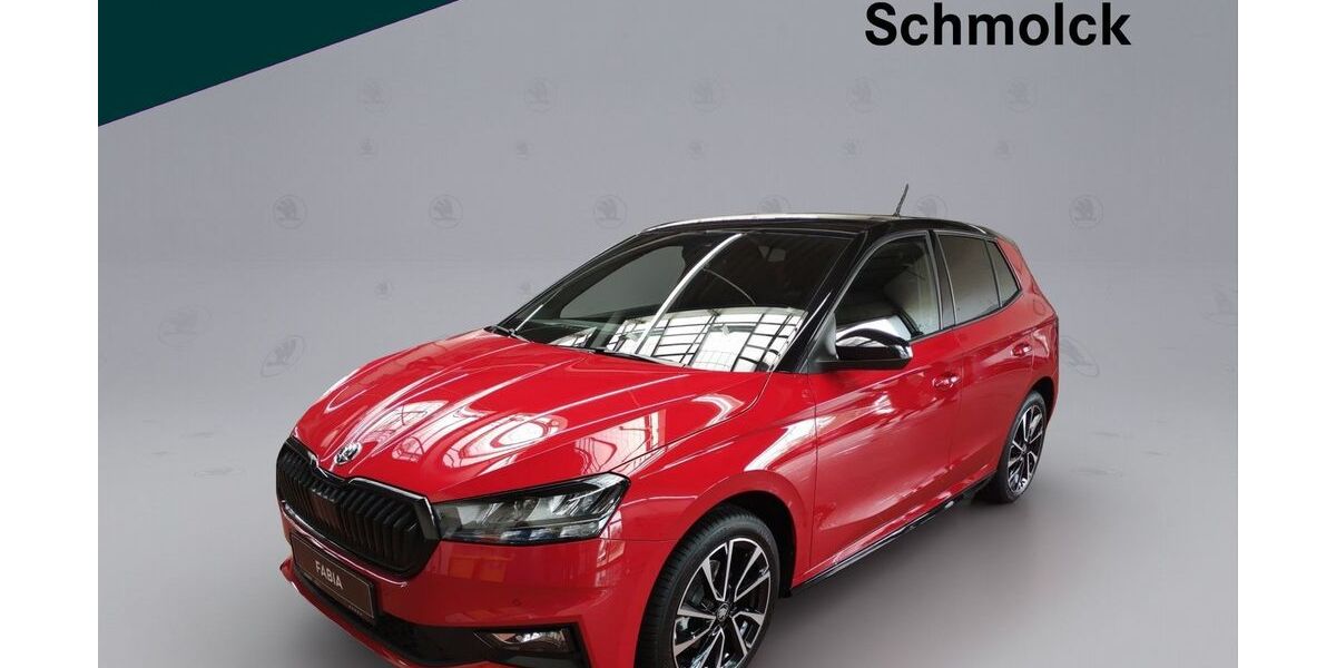 Skoda Fabia 5.000 km 27.290 &euro; Emmendingen 79312