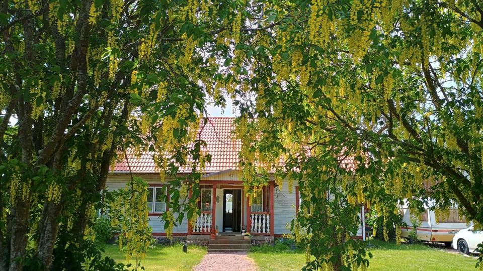 Schweden: charmantes Wohn-Ferienhaus zimmer
