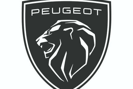 Peugeot 508 55.900 km 22.990 € Bad Krozingen 79189