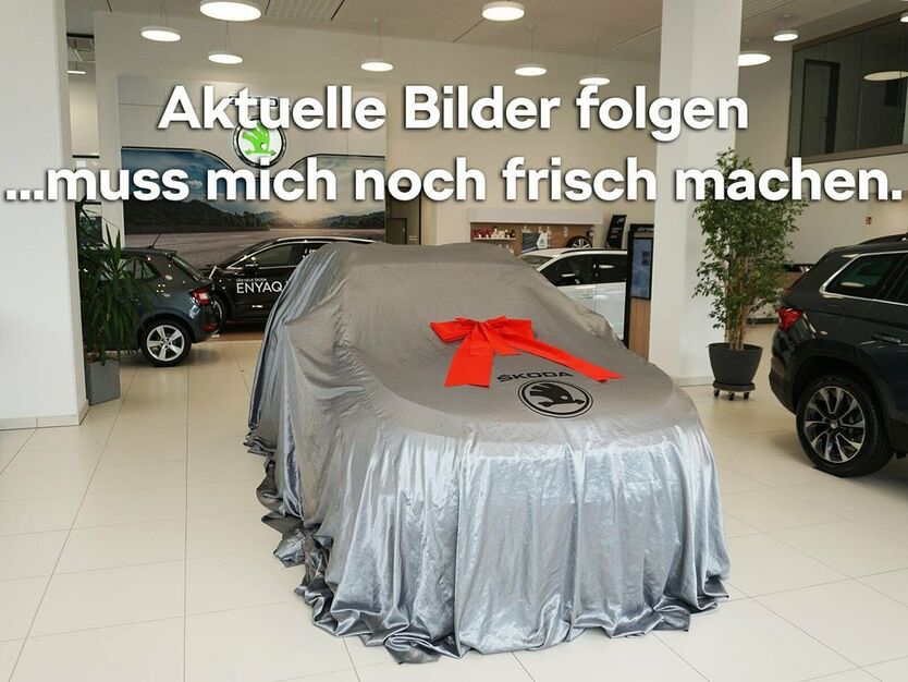Skoda Fabia 13.600 km 22.890 € Emmendingen 79312