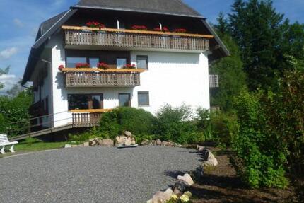 Zwei - Zimmer - Apartement 2 zimmer