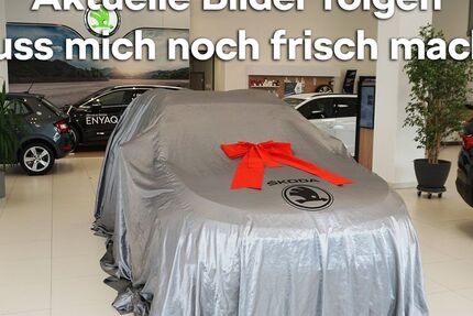 Skoda Superb 27.800 km 38.890 € Emmendingen 79312