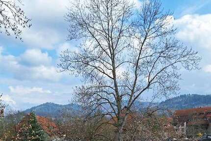 Wohnung Freiburg im Breisgau Lehen - 3 Zimmer, 92 m&sup2;, 583.000&euro; | Angebot:26216618