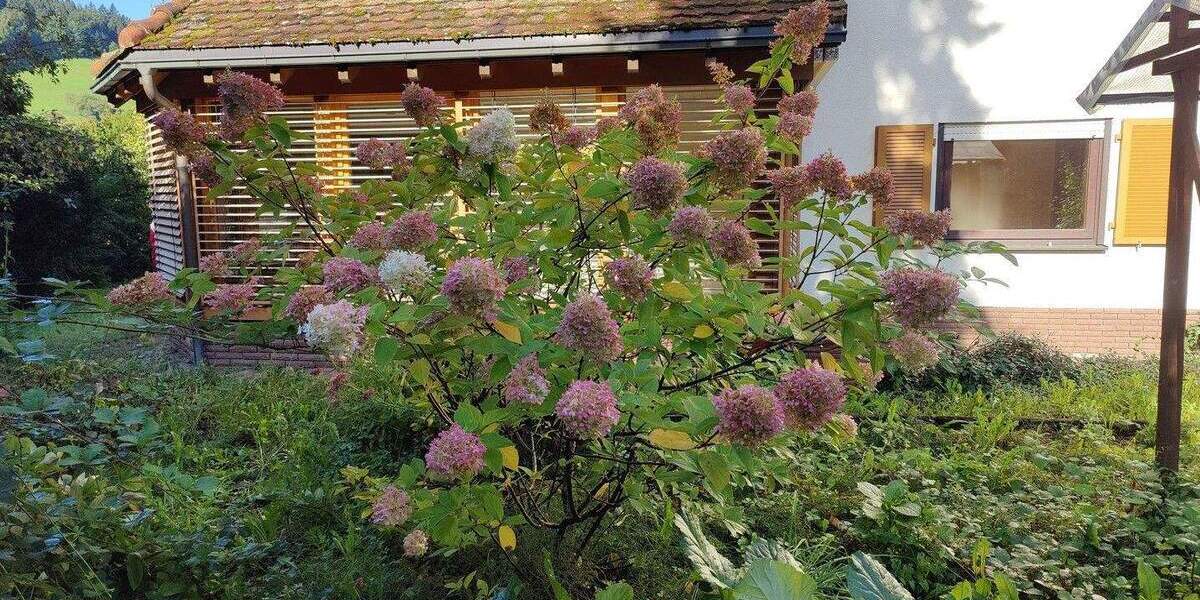 Etagenwohnung Waldkirch Kollnau - 4 Zimmer, 152 m&sup2;, 549.000&euro; | Angebot:25602576