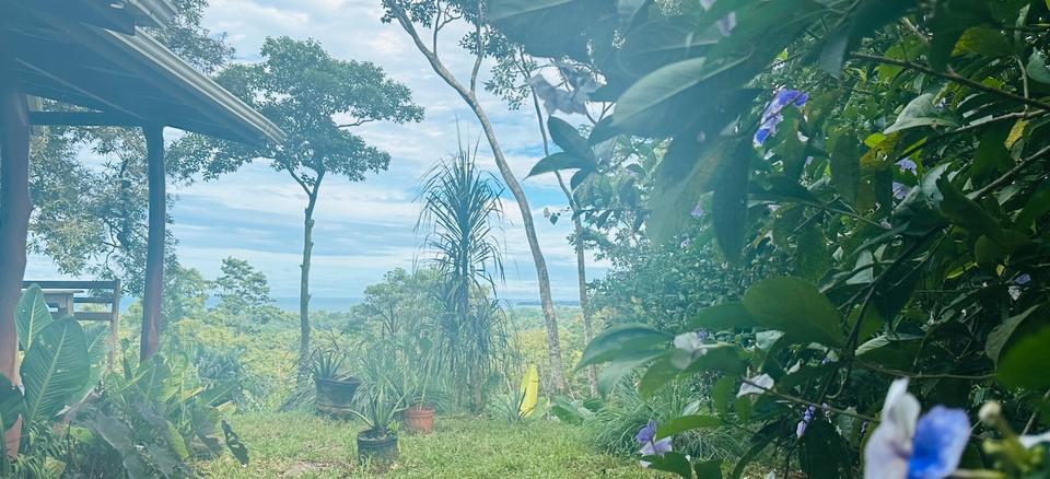 Einfamilienhaus Schallstadt - 4 Zimmer, 150 m&sup2;, 260.000&euro; | Angebot:24355338