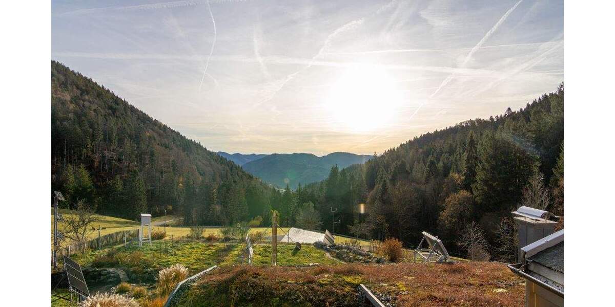 Gewerbeobjekt Aitern-Multen Multen - 1.250.000&euro; | Angebot:25727563