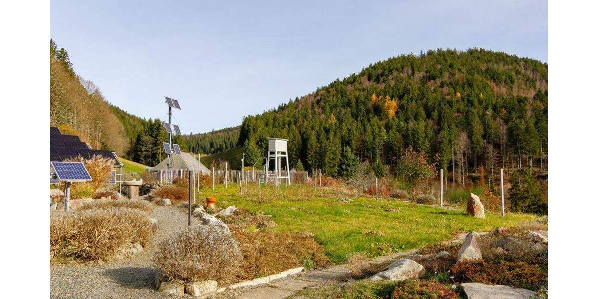 Gewerbeobjekt Aitern-Multen Multen - 1.250.000&euro; | Angebot:25727563