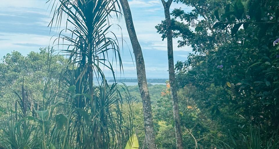 Einfamilienhaus Schallstadt - 4 Zimmer, 150 m&sup2;, 260.000&euro; | Angebot:24355338