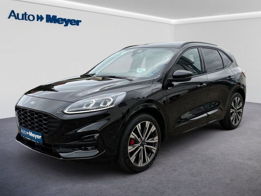 Kuga