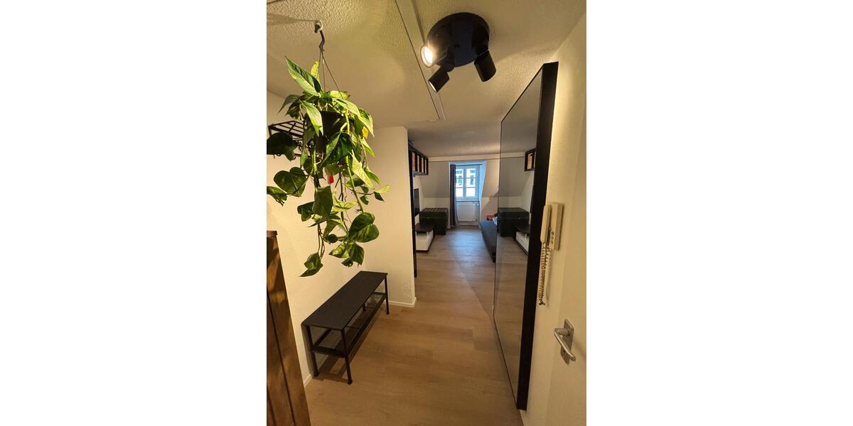 Dachgeschoßwohnung Freiburg im Breisgau - 1 Zimmer, 28 m&sup2;, 362.000&euro; | Angebot:24945201
