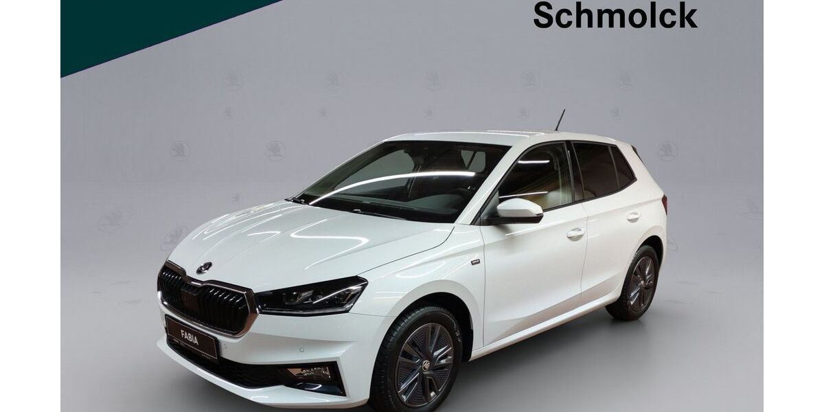 Skoda Fabia 11.000 km 21.890 &euro; Emmendingen 79312