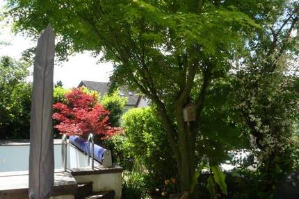 Haus Schallstadt Mengen - 6 Zimmer, 143 m&sup2;, 470.000&euro; | Angebot:26891704