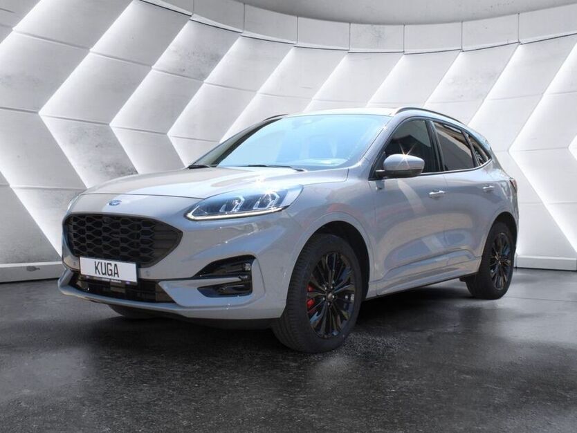 Kuga