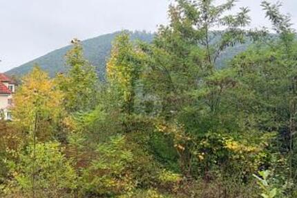 FERTIGES PROJEKT SUCHT UMSETZUNG! zimmer