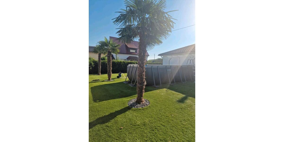 Bungalow Hartheim am Rhein - 5 Zimmer, 127 m&sup2;, 399.000&euro; | Angebot:26502288