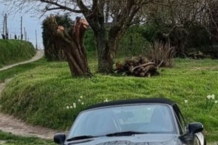 BMW Z3 270.000 km 15.000 &euro; Breisach 79206