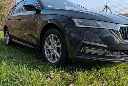 Skoda Octavia 188.000 km 15.590 &euro; Breisach 79206