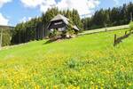 Mehrfamilienhaus, Wohnhaus Titisee-Neustadt Titisee - 3 Zimmer, 101 m&sup2;, 749.000&euro; | Angebot:26274112