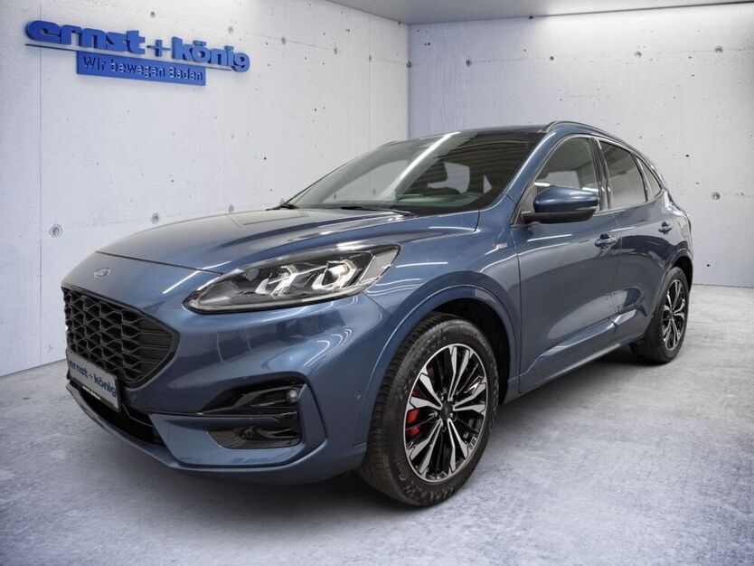 Kuga