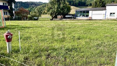 1976 M² & ZWEI GROSSE BAUFENSTER - Grundstück Münstertal | Angebot:27354816